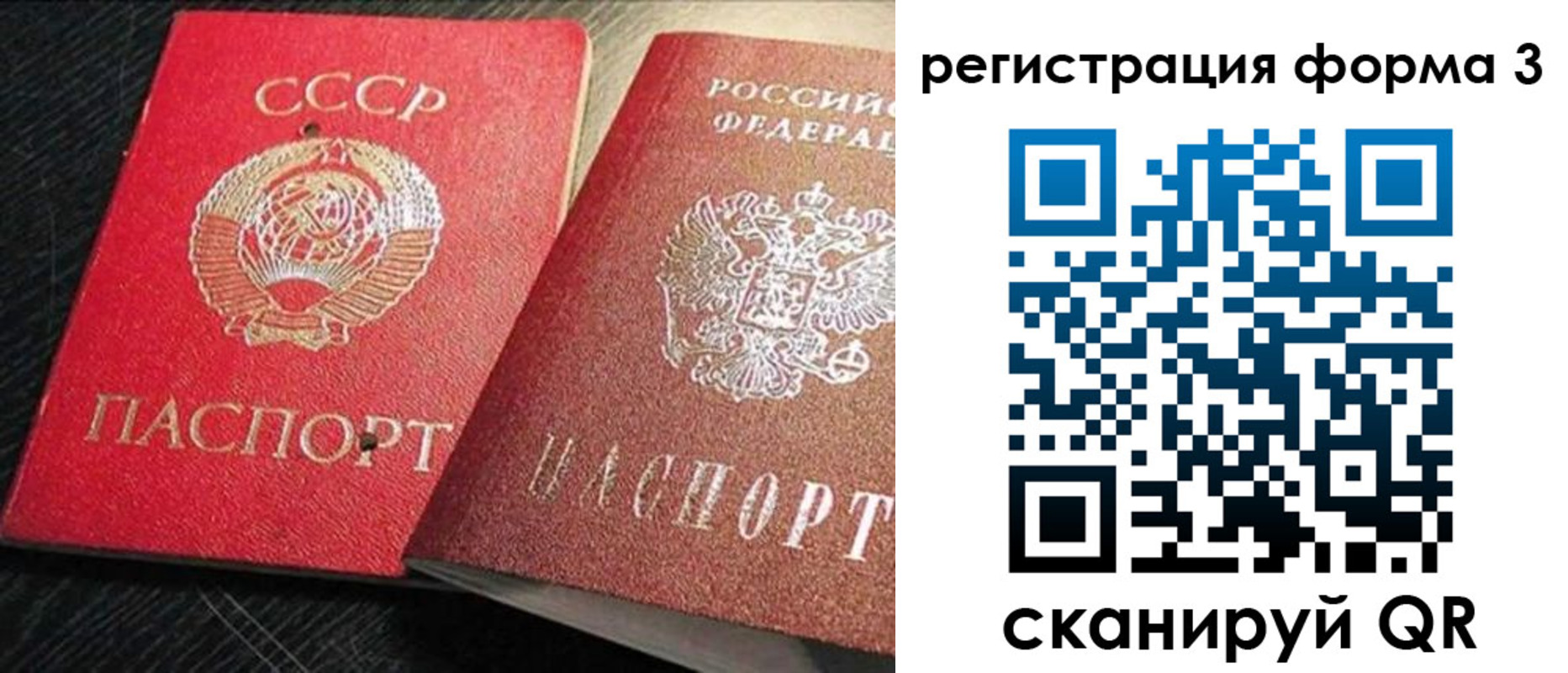 прописка для школы в Владимире